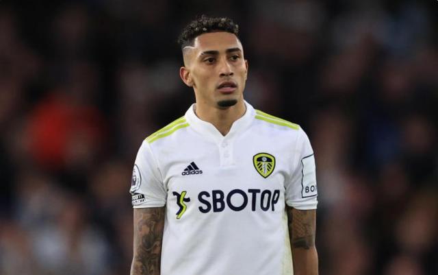 一旦伯恩茅 一旦伯恩茅