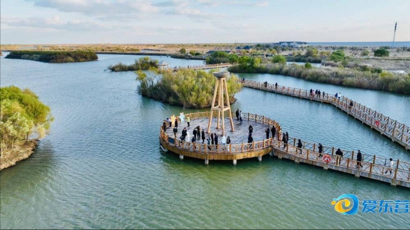 出让魔术在 出让魔术在